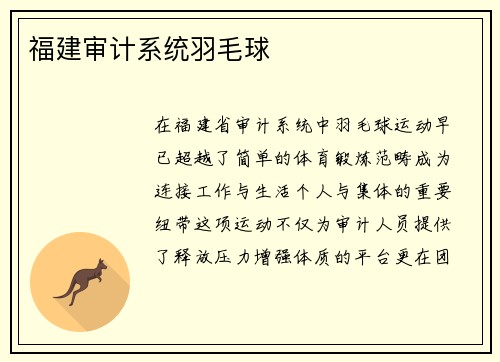 福建审计系统羽毛球